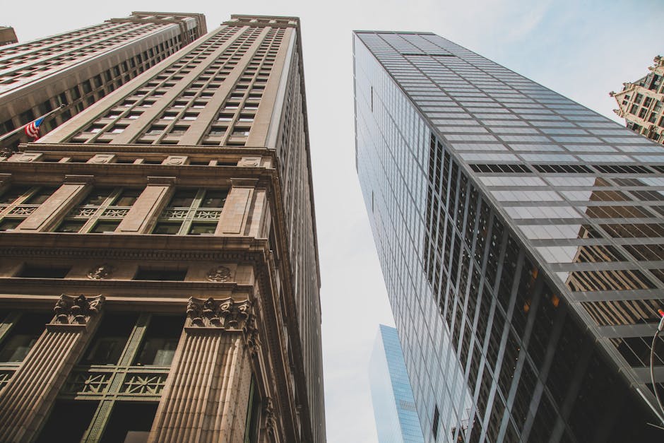 new york seo consultant